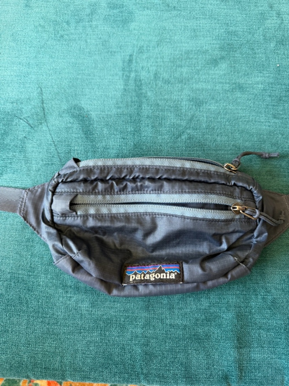 Patagonia Fanny Pack